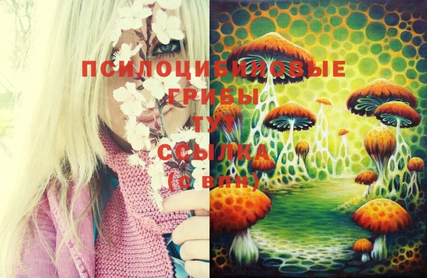 синтетический гашиш Абдулино