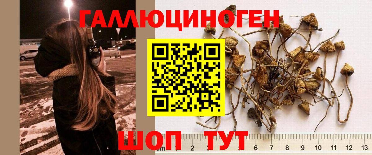 закладка  Псилоцибиновые грибы Magic Shrooms  Вход с VPN  Иваново 
